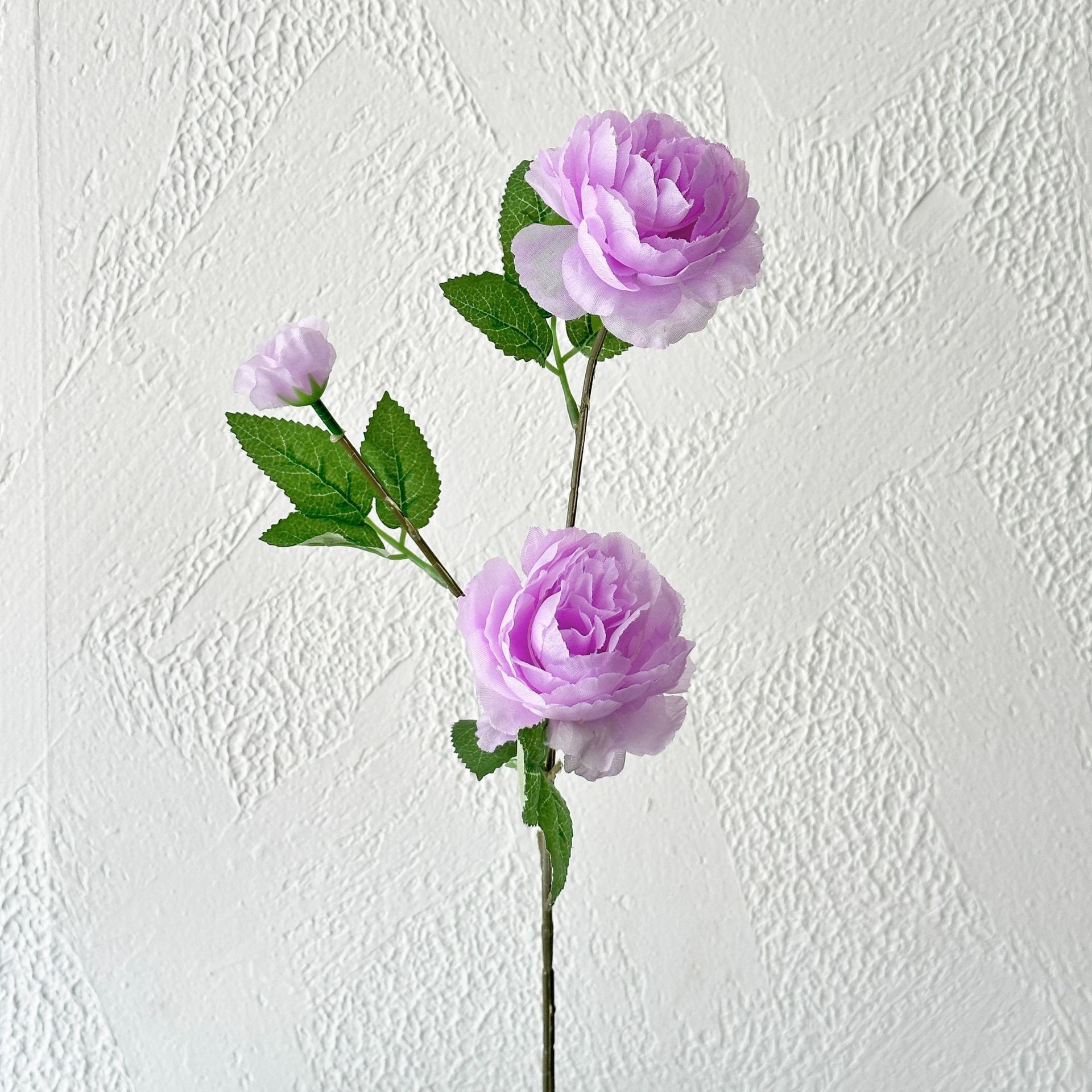 Peonía marina de tres cabezas de color lila claro