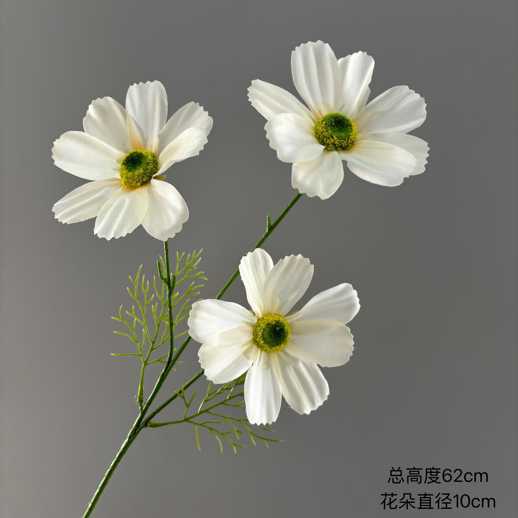게상꽃