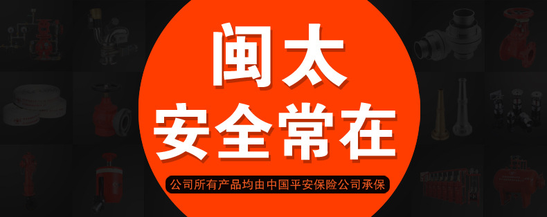 中国平安保险 拷贝