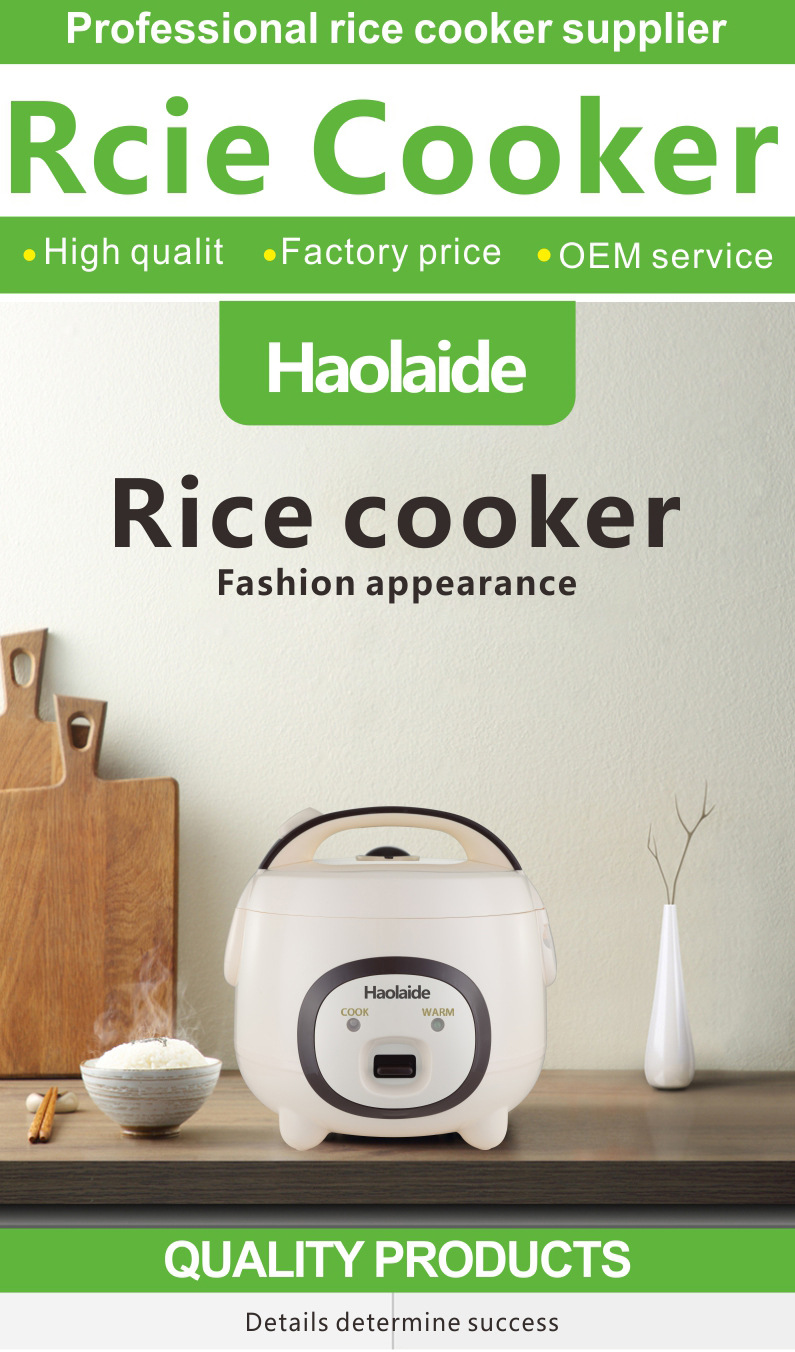 Mini Electric Rice Cooker For Household Kitchen And Cooking_voghion.com
