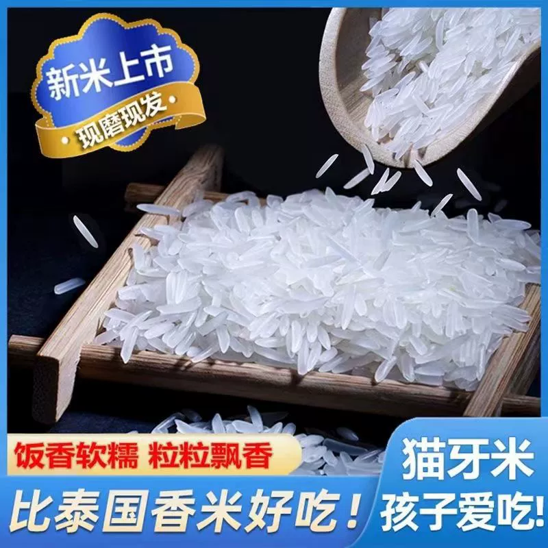 Рис с кошачьими зубами первого сорта, специальный рис Гуанси, 2025, поздний рис, новый рис, рис в глиняной кастрюле, жареный рис, длиннозерный ароматный рис, оптовая продажа
