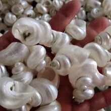 TQUI��Ȼ����ؐ����ҹ��G�ݼľ�з��Q��ȥƤС�����~���쾰�b�