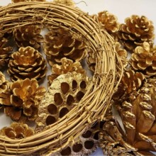 ��ɫ�ɹ��yɫ�}�Q�����}�QȾɫ���b�6-15cmҎ��1.35Ԫkg�C��