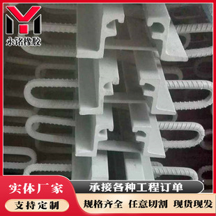 Factory monopoly Bridge expansion joint d40 type e Bridge expansion joint Bridge expansion joint d80 type manufacturers