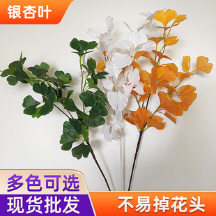 ����ט��~�����~��ɫ�崺ɫ�����y���~��ɫ�Gֲֲ��߷���ɭϵ