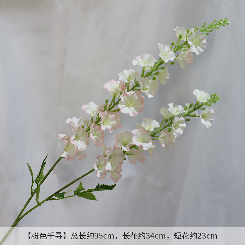 핑크 치히로 이치지