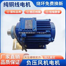 ؓ���L�C늙C�R�_ȫ�~������I���L�ȓQ���Ś��Ȍ������ஐ��늙C