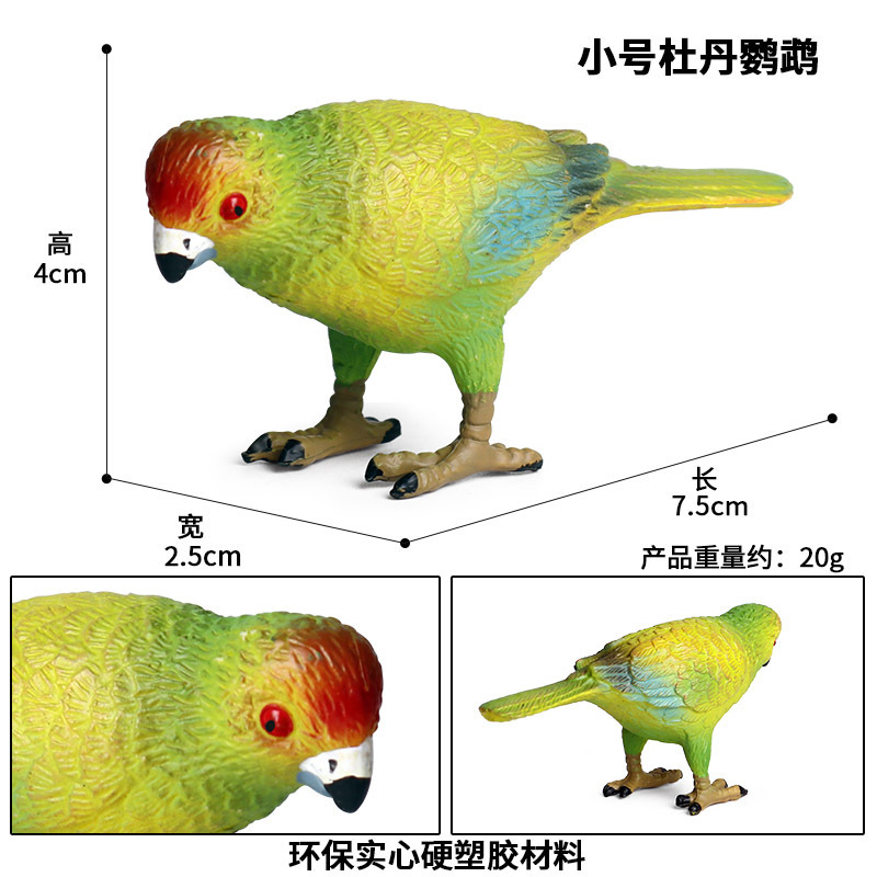 1255 small peony parrot