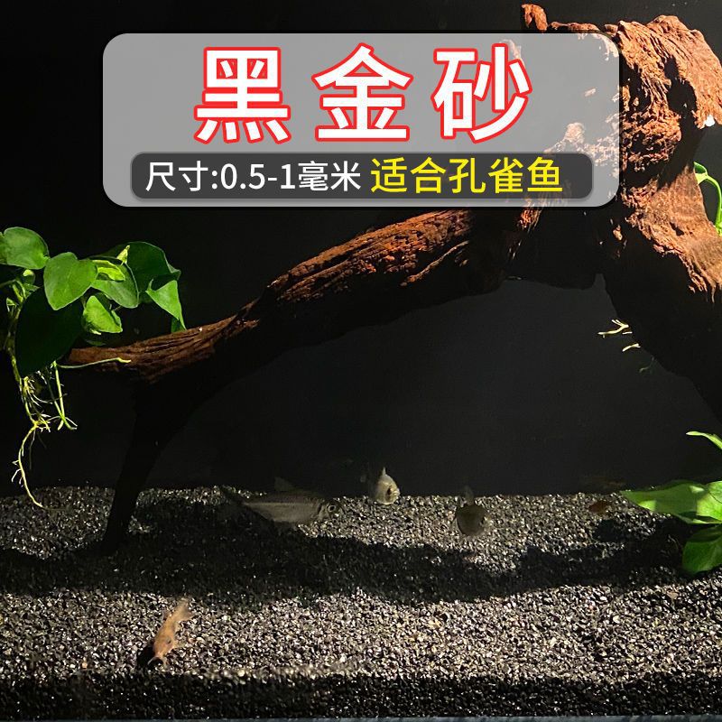 Peacock fish: black gold sand [0.5-1mm]]