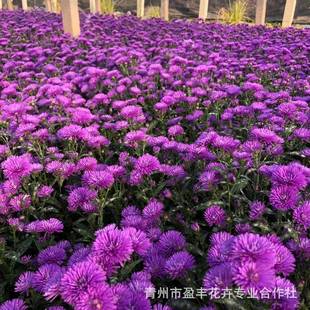 ��������ذ���m�����ݲݻ����ش������l�޸��ջ����m��