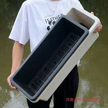 ���s���̨�L�l�L���Οo�׻��ۼӺ����ϻ���N�˷Nֲ����ˮ��Gֲ