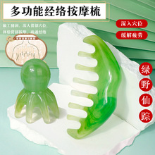 缤红家琥珀系列梳子女头部经络按摩梳宽五齿头梳海马防头皮按摩器