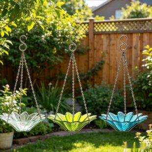 �羳Daisy Petite Hanging Bird FeederС�r�ՑҒ�ι�B��