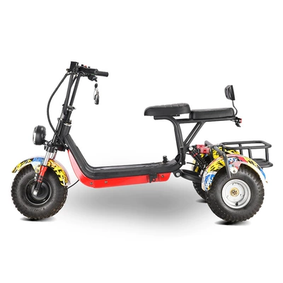 Overseas Warehouse Direct Delivery, Elektrikli motosikletlər