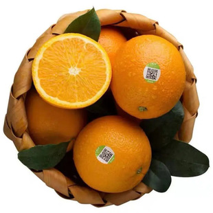 17.5&deg;�r��ɽȪ�M��Ě���Ϻ��l؛���Ӱ��]����ˮ��Ě��һ�����l