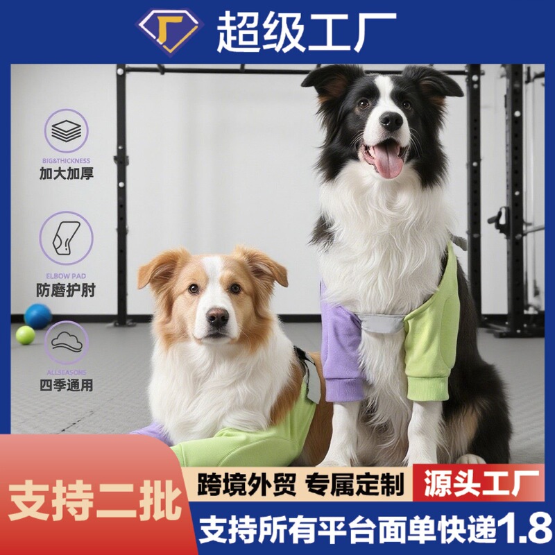 Border Collie Medium and Large Dog Joint Protection Cover Anti-Wear Leg Protection Pet Knee Pads Dog Front Leg Elbow Protection Clothing Universal for All Seasons