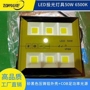 Export clearance ultra-high cost performance LED50W/100W COB 6500K White light outdoor flood light