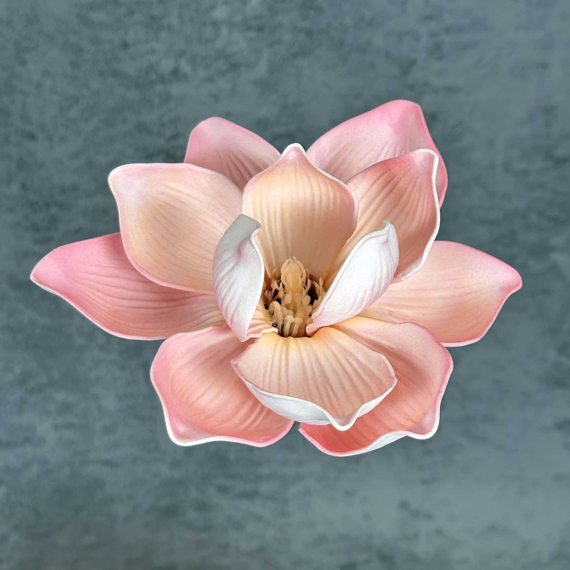 Flor de simulación transfronteriza EVA cabeza de magnolia 13cm tacto tocado kapok decoración decoración decoración flor falsa al por mayor
