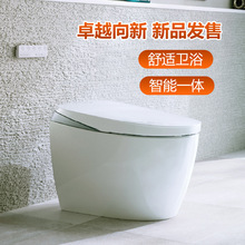 TOTO智能马桶全自动水洗一体式电动坐便器G5B CFS7H511MCN 01-A