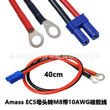 Amass EC5ĸ�^�DM8�A�h���ӎ�10AWG���z��40cm �羳���NRC�Դ��