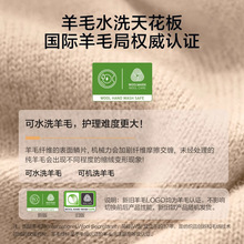 小`天鹅TG100V88PLUS洗衣机10KG超薄本色蓝氧全自动滚筒小蓝鲸