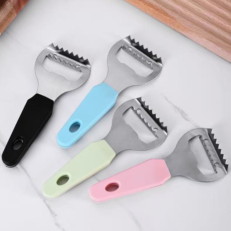 물고기 규모 계획
