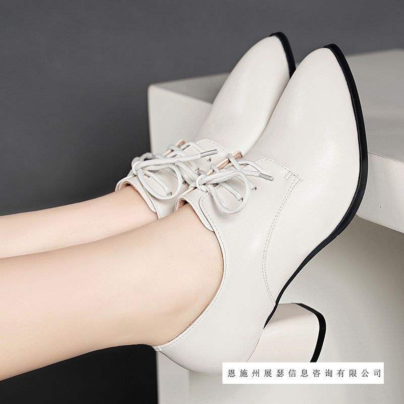 2025 Autumn Versatile New Non-Slip Women's Shoes Elegant High Heels Women's Chunky Heel Black Professional Pointed Toe Shoes