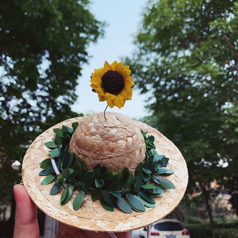 Соломенная шляпа для домашних животных Летнее украшение для кошек и собак Маленькие и средние щенки Новая весенне-летняя Бамбуковая Шляпа со стрекозой Плюшевый реквизит для фотографий