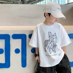 Children's Short Sleeve T-Shirt for Boys, Middle Size Casual Base Shirt, 2022 Summer Korean Style Round Neck Summer Top Half Sleeve Shirt