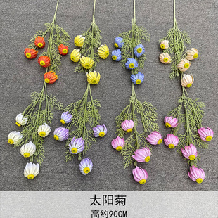 �߷���̫ꖾ� �ָ���ĭ���|��������������Ȼ�ջ� ��Y�ָж�