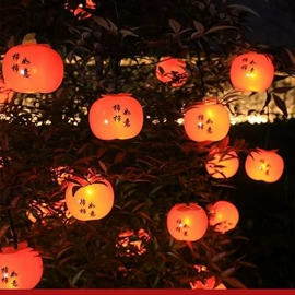 室内LED;LED装饰灯;室外LED