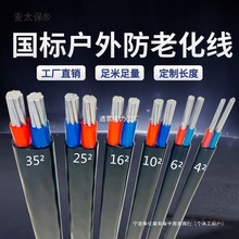 國標2芯3芯電纜線鋁芯家用戶外電線2.5 4 6 10 16 25平方鋁麥太保