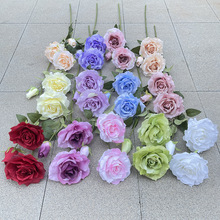 �a��؛Դ ���滨 3�^�����rõ�� ��c·���b� �Ҿ�ܛ�b