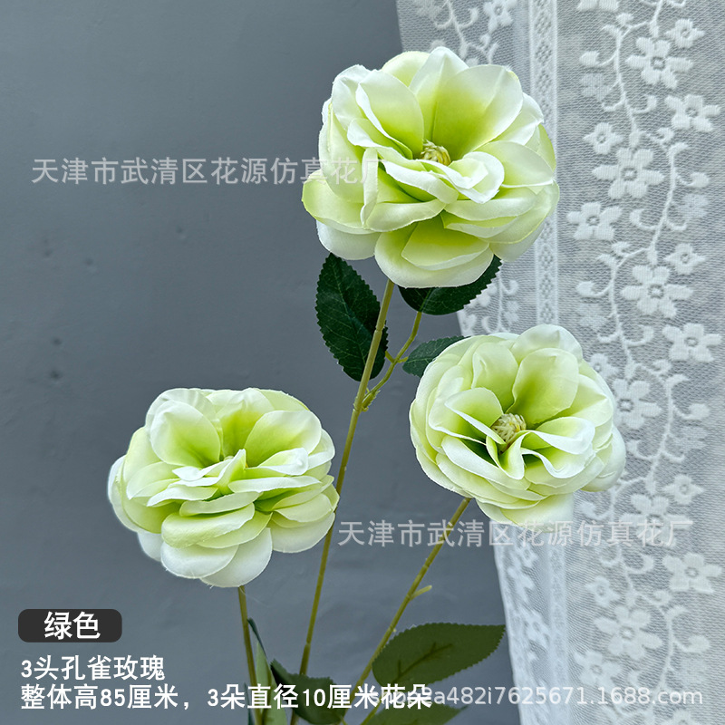 3두 공작 장미 - 그린