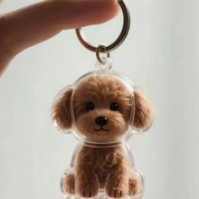 ���l����͸��ë�l�ռ{�В��耳׿ۄ���ë�l�z�Ҍ��ﹷ�����͸��