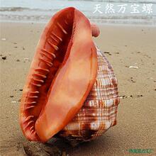 zx��Ȼ�f���ݴ��������Ĵ����ݼҾӄ���YƷ�~���쾰ɺ���Ҭu