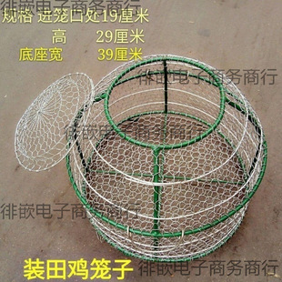 �\���P䓴��������Bֳ�S�Ƶ��ţ���r�\�Bֳ�\���u�\�\�\