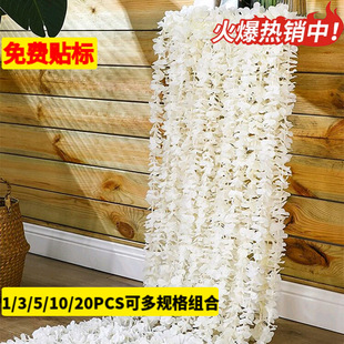 �羳��ɫ���컨���m��ֲ�������ѻ��ٗl���˹��Y���bҾ��b�