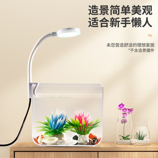 Transparent plastic creative aquarium, DIY