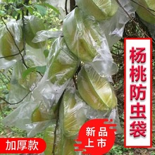 果袋套袋枇杷果园葡萄杨桃袋加厚水果透明保鲜松花生长薄膜套袋
