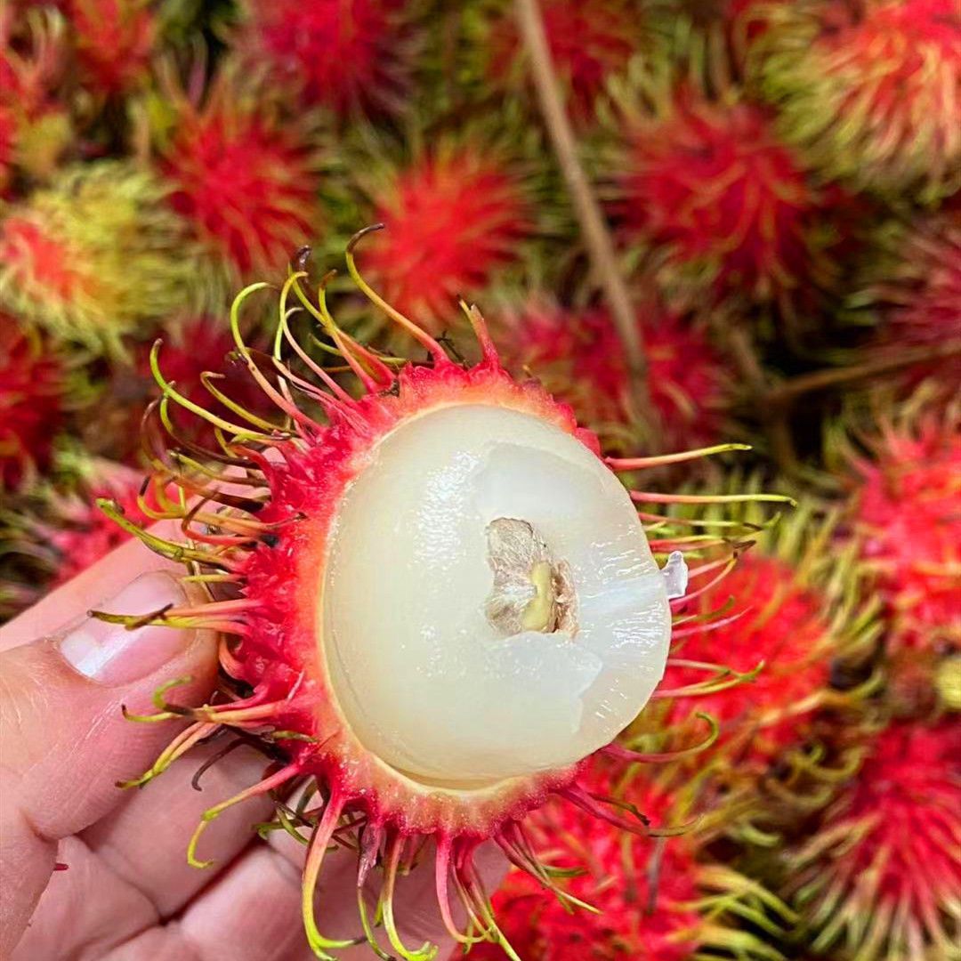 孕妇水果速发 泰国进口红毛丹毛荔枝东南亚当季新鲜水果整箱批发