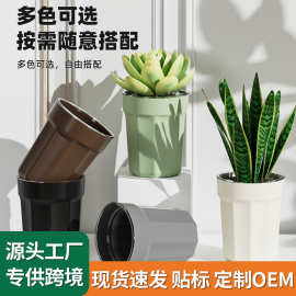 活性保持套盆透气控根塑料加厚青山盆自吸水热带植物懒人透明花盆