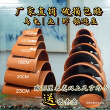 ���Ȟ����~���ݶ�Ѩ��Ƭ�S�������x�ӝ����ݸC������̨��̨