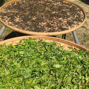 ���l��ϰ��_ɽ����կ�ն���ɢ�贺�� �ն�������^����ľ�Ř�