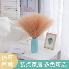 �����JȔ�߶˻����p����ؔ[���ٻ��bٻ�ins���W�ҾӔ[̨�b�