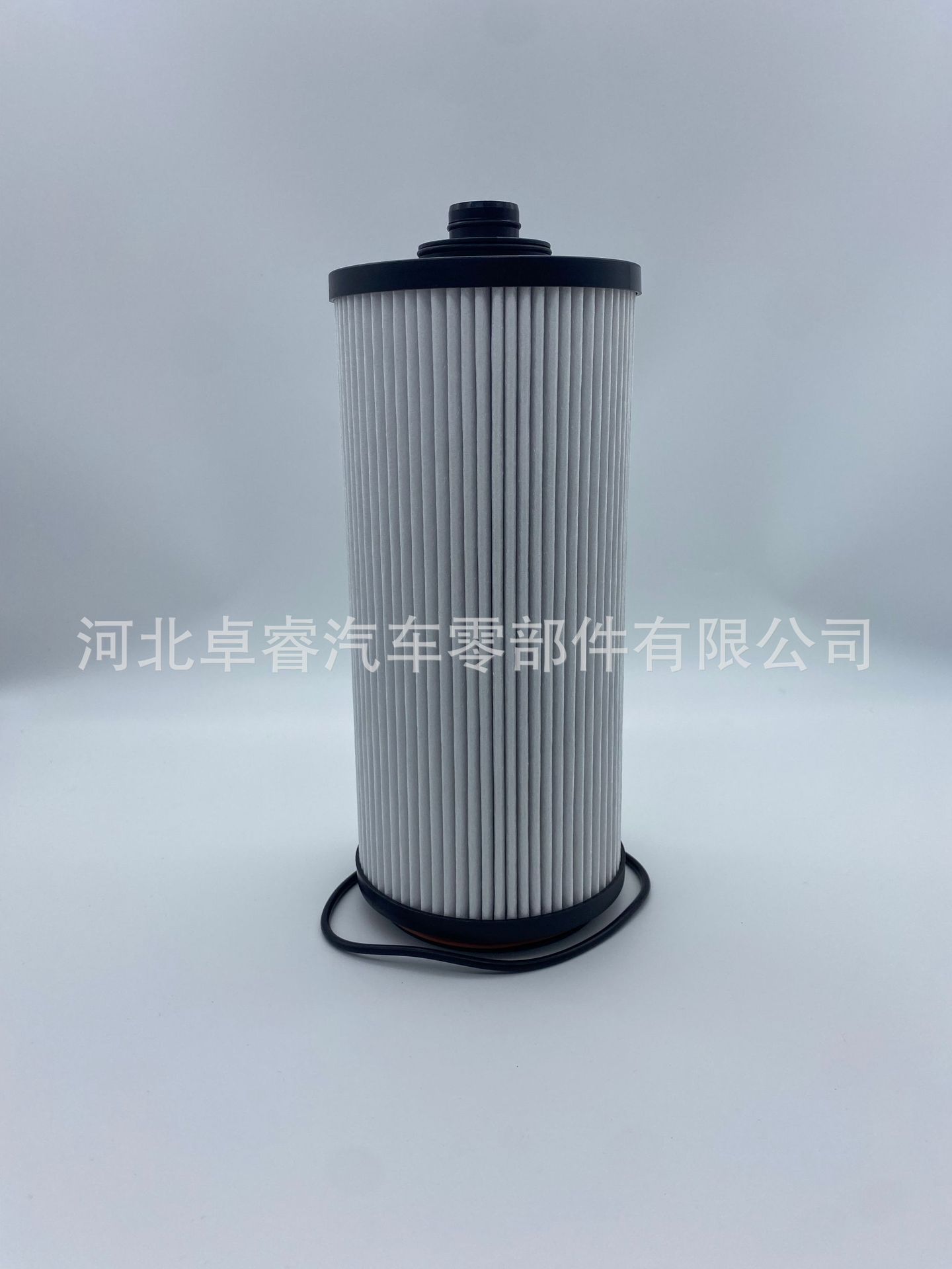 Source Manufacturer Supplies Car Filter Accessories Wholesale 1100-L000405A Hongyan Jieshi Cannon Filter