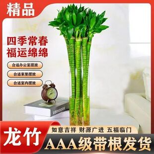 񎧸ˮB҃ȿ͏d^Ĳ񎧸ش̖F