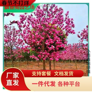 һ�����l�ļ�ͥԺ���m����t���m�ϱ��������m�����������m�ͺ��G