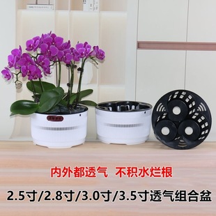 3.5���m���������Ŀ׺����mƴ�M�ϻ���ʯ������������͸�ⶨֲ�@