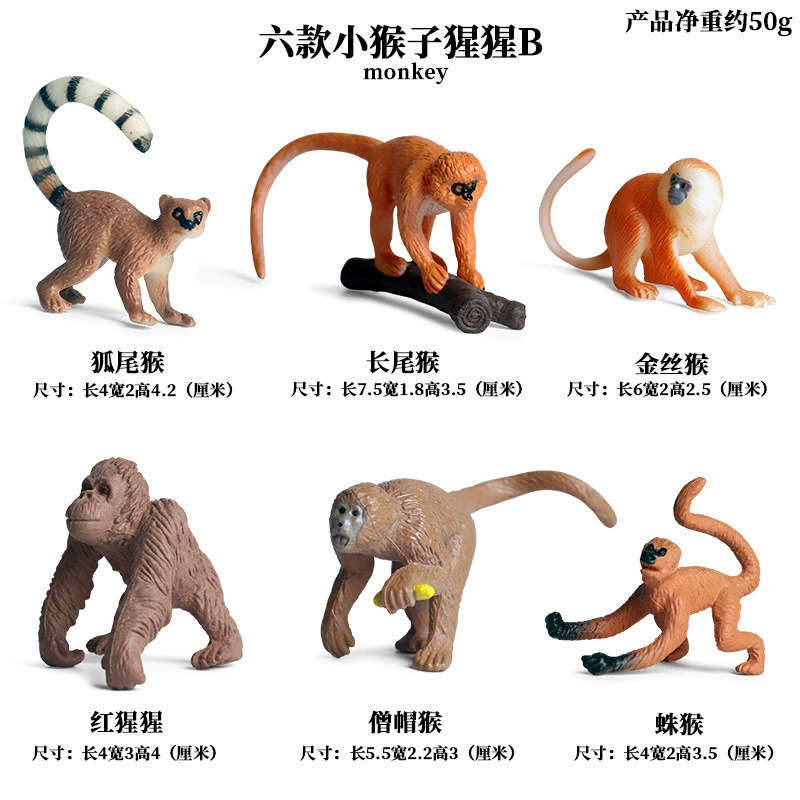 Cognitive realistic marine animal model, dinosaur, toy